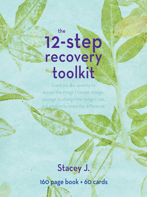 Title details for The 12 Step Recovery Toolkit by Stacey J. - Available